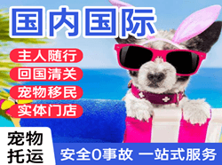 临汾机场货运国际宠物托运 【国